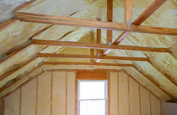 Best Types of Insulation in Coleraine, MN