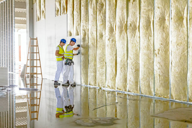 Best Types of Insulation in Coleraine, MN